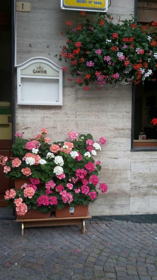 Albergo Ristorante Centro Vico Canavese Екстериор снимка